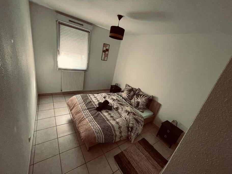 Ferienwohnung Magnifiquet3 Centre/Gare/Parking Annemasse Exterior foto